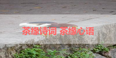 茶缘诗词 茶缘心语