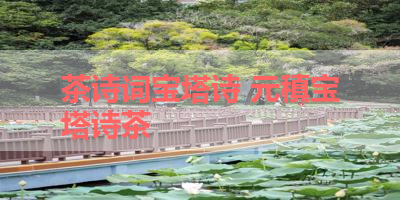 茶诗词宝塔诗 元稹宝塔诗茶