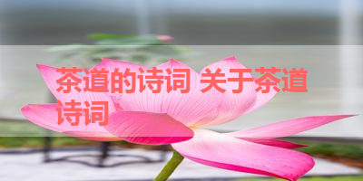 茶道的诗词 关于茶道诗词 