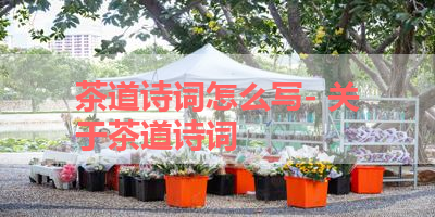 茶道诗词怎么写- 关于茶道诗词 