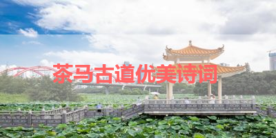 茶马古道优美诗词 