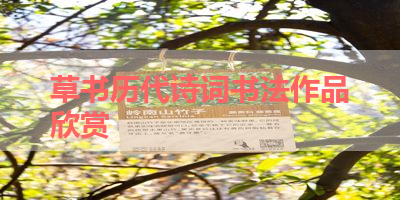 草书历代诗词书法作品欣赏 