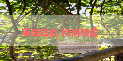 草原送别 诗词朗读 