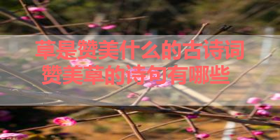 草是赞美什么的古诗词 赞美草的诗句有哪些 