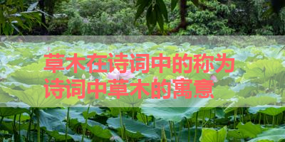 草木在诗词中的称为 诗词中草木的寓意 