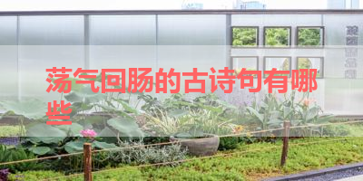 荡气回肠的古诗句有哪些 