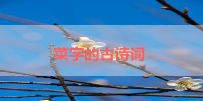 菜字的古诗词 
