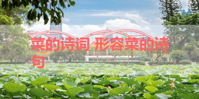 菜的诗词 形容菜的诗句