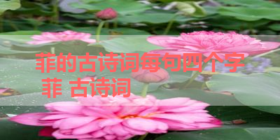 菲的古诗词每句四个字 菲 古诗词