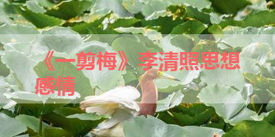 《一剪梅》李清照思想感情 