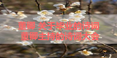 董卿 关于毕业的诗词 董卿主持的诗词大会