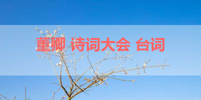 董卿 诗词大会 台词 