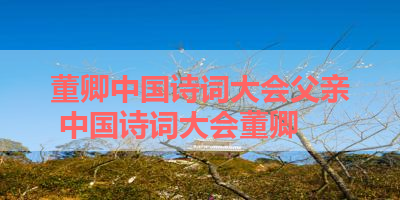 董卿中国诗词大会父亲 中国诗词大会董卿