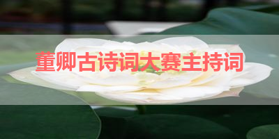 董卿古诗词大赛主持词 