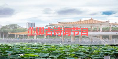 董卿古诗词节目 