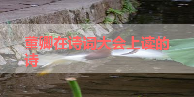 董卿在诗词大会上读的诗 