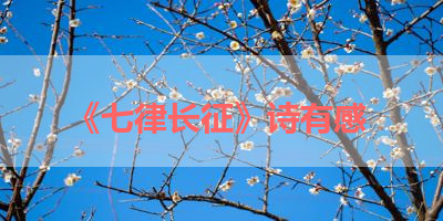 《七律长征》诗有感 