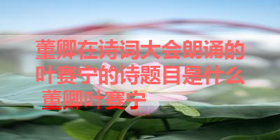 董卿在诗词大会朗诵的叶赛宁的诗题目是什么 董卿叶赛宁
