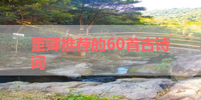 董卿推荐的60首古诗词 