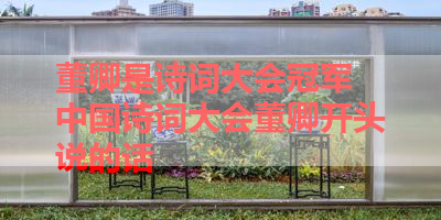 董卿是诗词大会冠军 中国诗词大会董卿开头说的话 