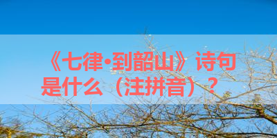 《七律·到韶山》诗句是什么（注拼音）？ 