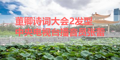 董卿诗词大会2发型 中央电视台播音员张蕾 