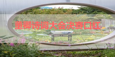 董卿诗词大会决赛口红 