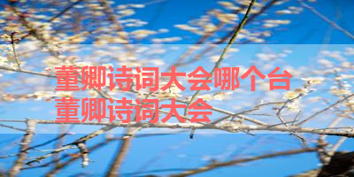 董卿诗词大会哪个台 董卿诗词大会