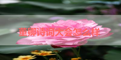 董卿诗词大会怎么样 