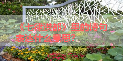 《七律洪都》里的诗句表达什么意思？ 