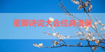 董卿诗词大会经典语录 