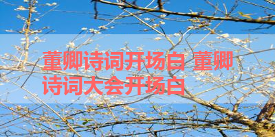 董卿诗词开场白 董卿诗词大会开场白