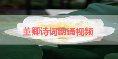 董卿诗词朗诵视频 