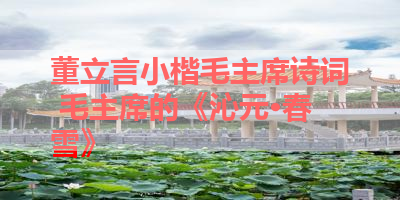 董立言小楷毛主席诗词 毛主席的《沁元·春雪》 
