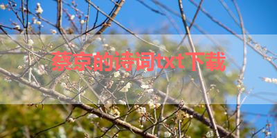 蔡京的诗词txt下载 