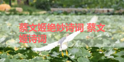 蔡文姬绝妙诗词 蔡文姬诗词