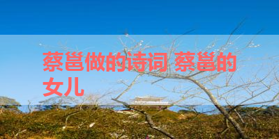 蔡邕做的诗词 蔡邕的女儿