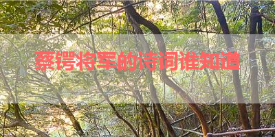 蔡锷将军的诗词谁知道 