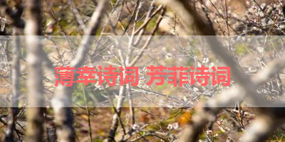 薄幸诗词 芳菲诗词