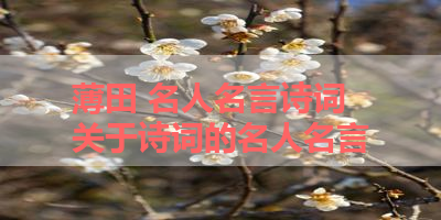 薄田 名人名言诗词 关于诗词的名人名言
