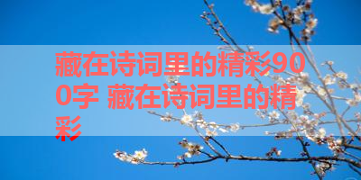 藏在诗词里的精彩900字 藏在诗词里的精彩