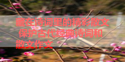 藏在诗词里的精彩散文 保护古代经典诗词和散文作文 