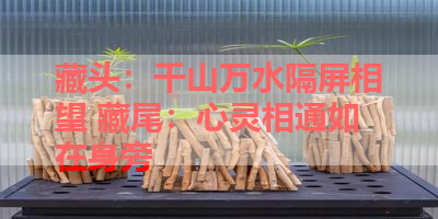 藏头：千山万水隔屏相望 藏尾：心灵相通如在身旁 