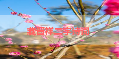 藏晋祥二字诗词 