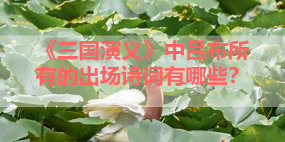 《三国演义》中吕布所有的出场诗词有哪些？ 