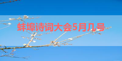 蚌埠诗词大会5月几号 
