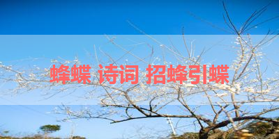 蜂蝶 诗词 招蜂引蝶