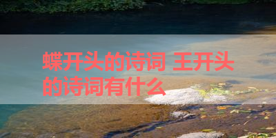 蝶开头的诗词 王开头的诗词有什么
