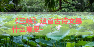 《三峡》这首古诗文是什么意思- 