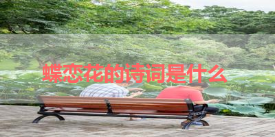蝶恋花的诗词是什么 